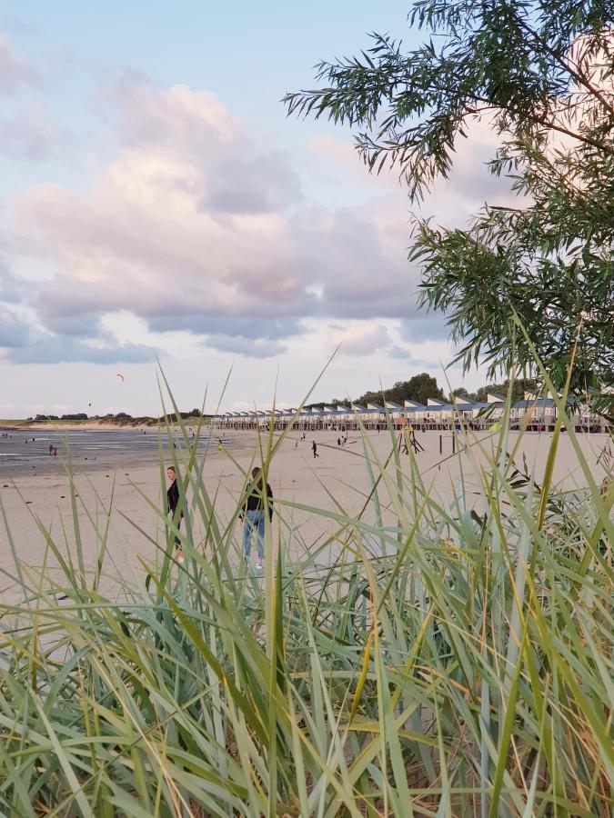 Ostreahof Gezin & Familie Vakantiehuis Aan Strand En Jachthaven كامبيرلاند المظهر الخارجي الصورة